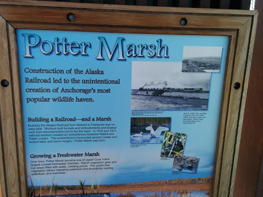 Potter Marsh