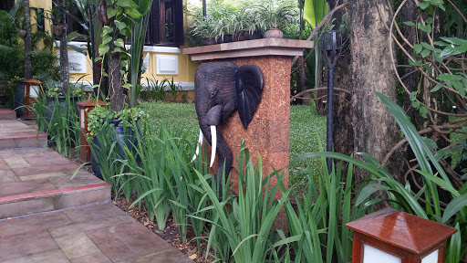 Le Bistrot De Siem Reap Elephant Head 