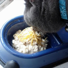 Vitamin-Rich Feline Meal (Cat Food)