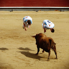 Double somersault over the bull by Valentyn Kolesnyk - News & Events World Events ( rekorte, boldness, courage, bull, agility )