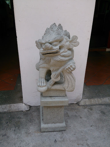 Lion Guardian at China Town