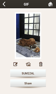 GIF Maker Screenshot