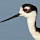 AidaVillaronga
