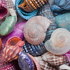 bigstock_Seashells_7128253.jpg