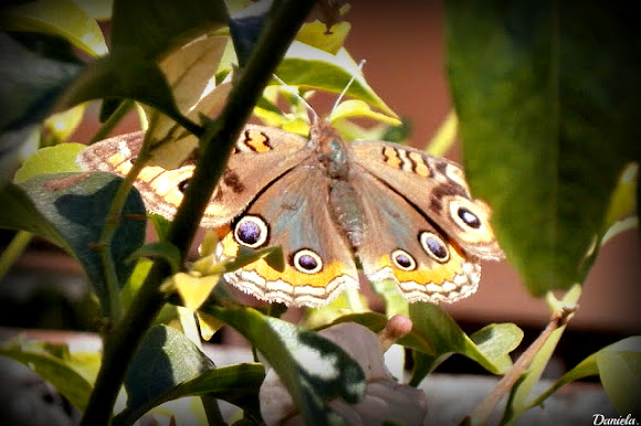Spotting Image 1