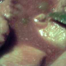 Chicken in Wine Sauce-El Salvador