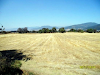 Terreno Chirino Lerma