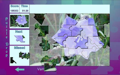 How to install Puzzle Drop - Flower Set lastet apk for bluestacks