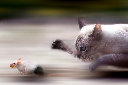 run