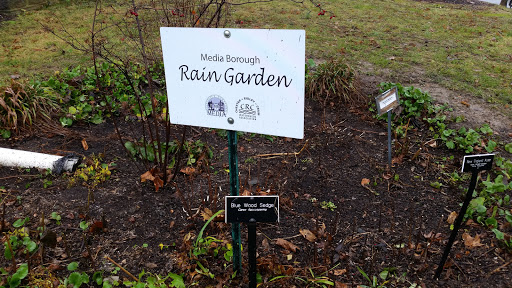 Rain Garden 2