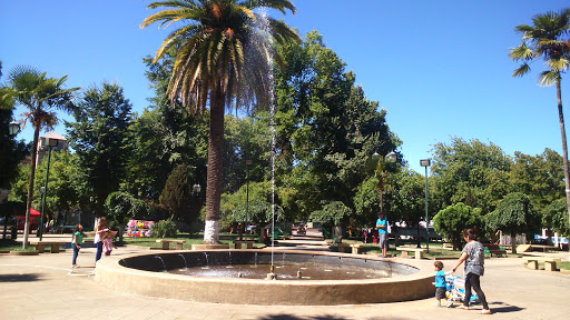Pileta Central Plaza De Armas