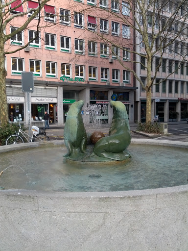 Seals at Stampfenbachplatz