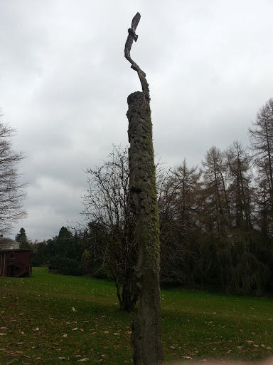 Totem Pole, Avondale Forest 
