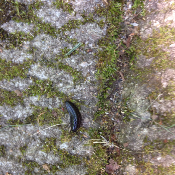 Spotting Image 1