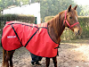 Manta Caballo Impermeable  Abrigo Invierno