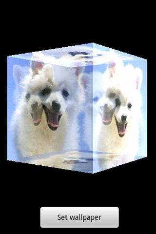 3D 可愛い犬A12