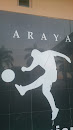 Araya Soccer Wall Art