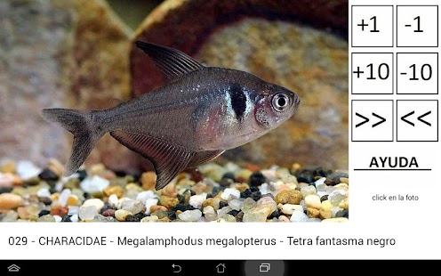 How to mod Peces de acuario de agua dulce 0.1 apk for android