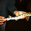 Leopard Shark