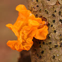 Witch's Butter