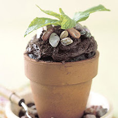 Flowerpot Cakes