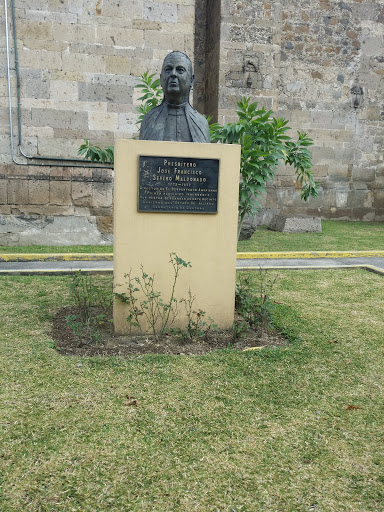 Busto Presbítero José Francisco 