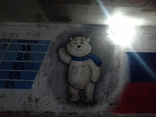 Подземный Переход Медведь Сочи 2014