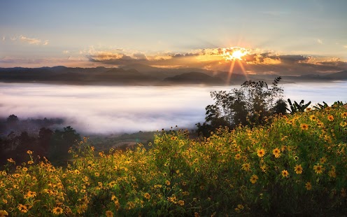 How to install Fog Wallpaper patch 1.0 apk for bluestacks