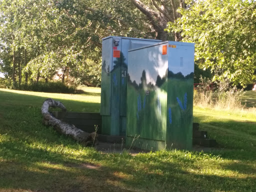 Field Painted Power Box