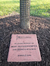 Mary Klosterkemper Memorial Tree