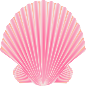 Touch The Shells.apk 2.1