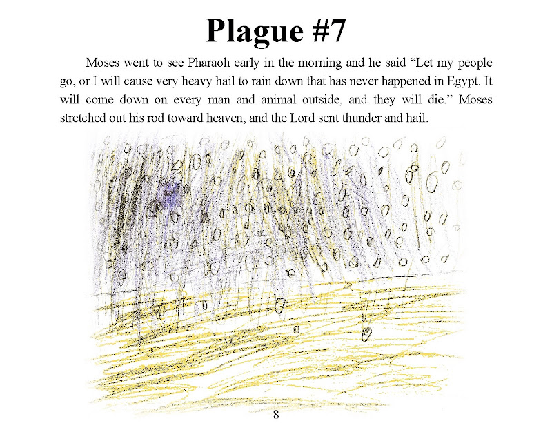 10 Plagues Book