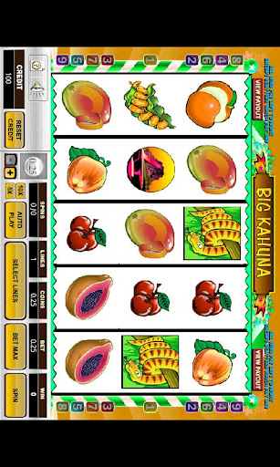 Big Kahuna Vegas Slot Machine