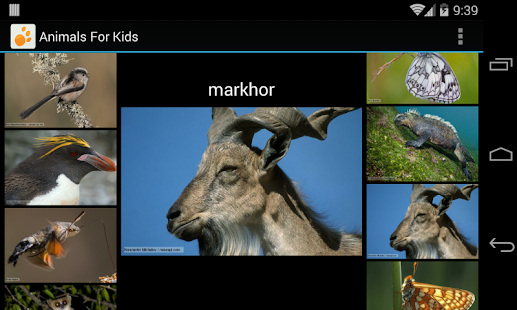 How to get Animals For Kids patch 1.0 apk for pc