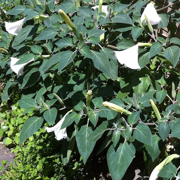 Spotting Image 1