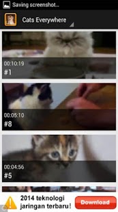 How to get Cats Everywhere patch 1.3.2 apk for laptop