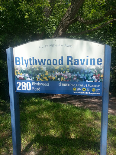 Blythwood Ravine