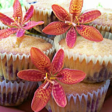 Zesty Blueberry Muffins