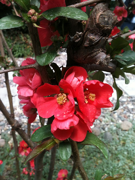 Spotting Image 1