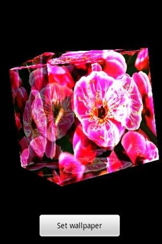 3D plum blossom