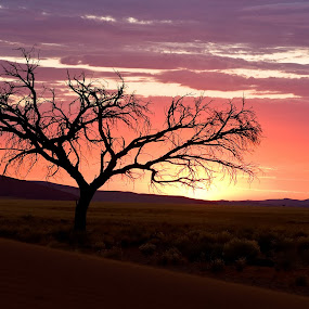 by Gorazd Golob - Landscapes Deserts