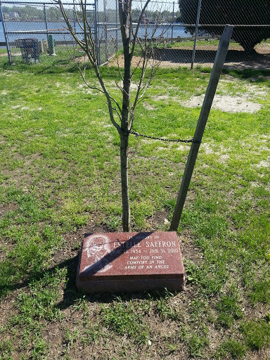 Estelle Saffron Tree Memorial Bayonne