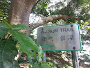 Wilson Trail