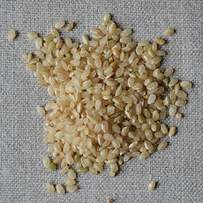 Butternut Squash Risotto with Brown Rice