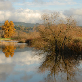 Fisher Slough by Kirsten Morse - Landscapes Prairies, Meadows & Fields