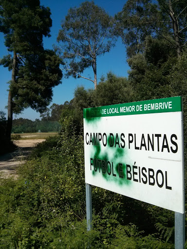 Campo Das Plantas.