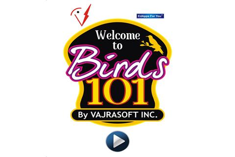 Birds 101
