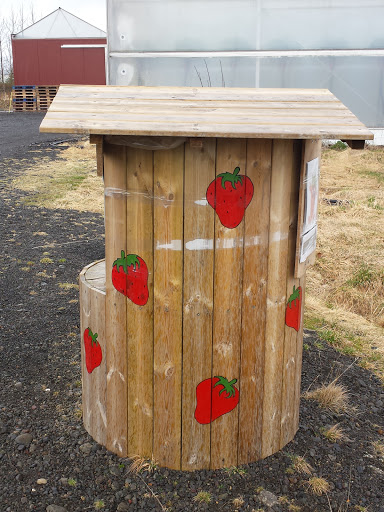 Strawberry Booth
