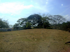 Finca En Brasil De Santa Ana