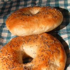 Basic Bagels